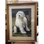 DON MEAKS OILS OF A SHEEP DOG SIGNED AND DATE 79 FRAMED AND GLAZED 52CM X 67CM APPROX