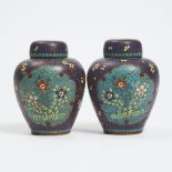 A Pair of Chinese Cloisonné Lidded Jars, Late Qing Dynasty, 19th Century, 晚清 十九世纪 蓝地铜胎掐丝珐琅花蝶纹盖罐一对, h