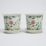 A Pair of Famille Rose 'Floral' Planters and Trays, Hongxian Mark, Republican Period, 民国 洪宪款 粉彩花卉纹花盆