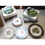 16x boxed china collectors plates, etc. Including; 12x The Festival of Flower Fairies by Cicely Mary