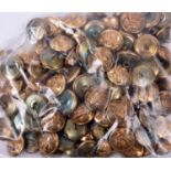 100 HLI QC ORs large brass buttons, unissued stock, gilding metal finish. VGC £40-50