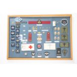 An extremely comprehensive collection of RAF Medical Unit insignia, including R.A.F.N.S, P.M.R.A.F.