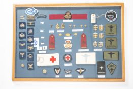 An extremely comprehensive collection of RAF Medical Unit insignia, including R.A.F.N.S, P.M.R.A.F.