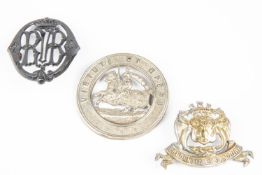 1st Forfarshire Rifle Volunteers, small WM glengarry badge 1864-82 (one lug missing); 6th (