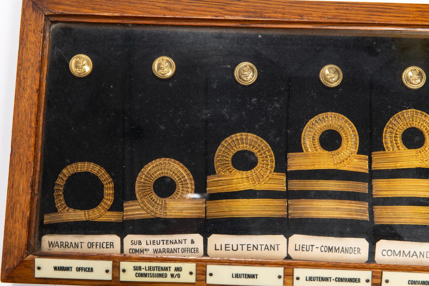 A good quality museum display of Royal Navy shoulder boards comprising: Warrant Officer, Sub - Image 3 of 3