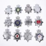 12 different ERII police chrome finish helmet plates, including 2 enamelled, 3 plastic "