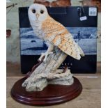 A Border Fine Arts model 'On The Lookout' sculpted as a barn owl, boxed.