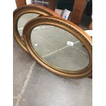 A pair of classic frame oval mirrors.