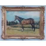 20th century school, oil on canvas, 'Kelly', study of a horse, 68cm x 47cm, signed 'Elizabeth