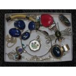 A tray of assorted jewellery including a dragonfly brooch marked '925', other items marked '925'