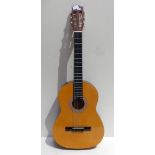 A Stagg nylon strung classical guitar, model c542.