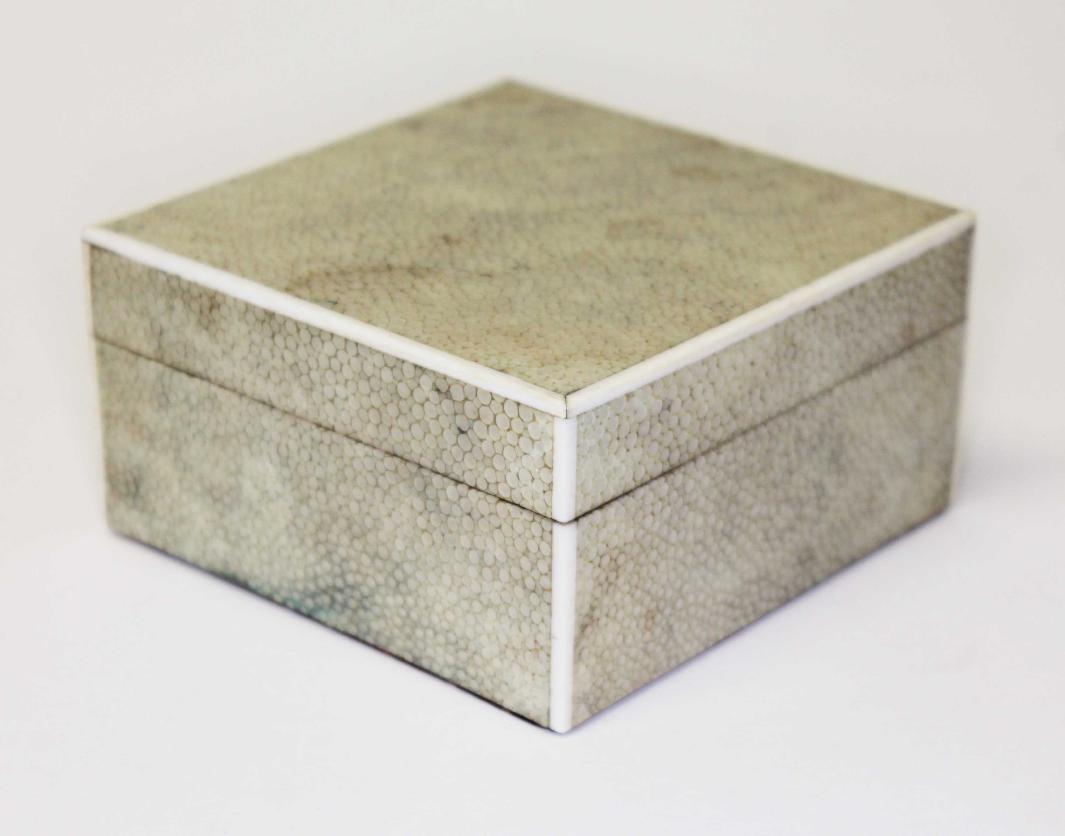 A 1920s shagreen box, length 10.5cm.