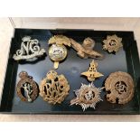 9 military cap badges : Royal Corps of Signals, Munster, Worcestershire Regiment FIRM, Engineers,