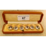 Essex crystal buttons, set of 6 depicting dog breeds.