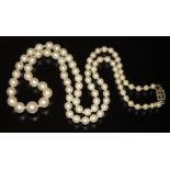 A single strand of graduated cultured pearls, circa 1950, ranging in diameter from 3.50mm to 7.