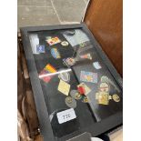 A ring display case with a collection of various pin badges