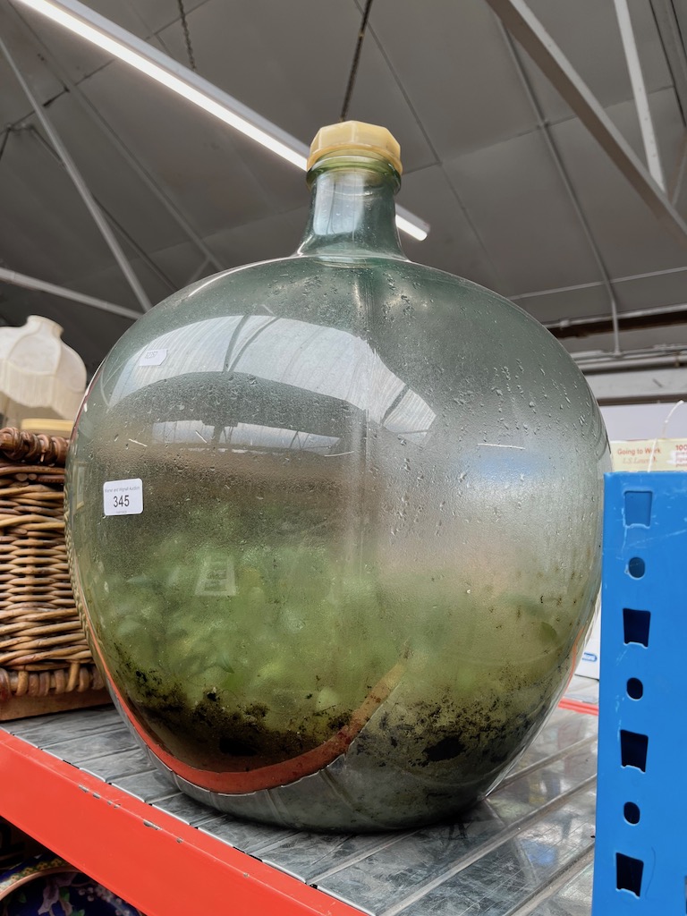 A large glass carboy ( bottle garden ).