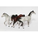 A group of three Beswick horses, length approx. 24cm to 26cm each.