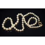 A single strand of cultured pearls, ranging in diameter from approx. 3.83mm to 7.36mm, clasp