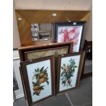 Large mirror, various paintings and prints