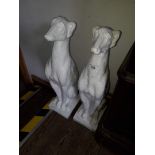 A pair of white painted concrete grey hounds, height 55cm.