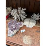 Quartz crystal and three corals