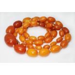 A butterscotch pressed amber bead necklace, the graduated beads ranging in length from approx.