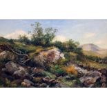 David Bates (1840-1921), a pair of Welsh landscapes near Capel Curig, oil on canvas, 59cm x 39cm