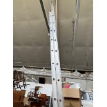Two large Aluminium Ladders