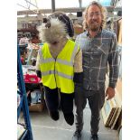 A large bear wearing hi vis jacket