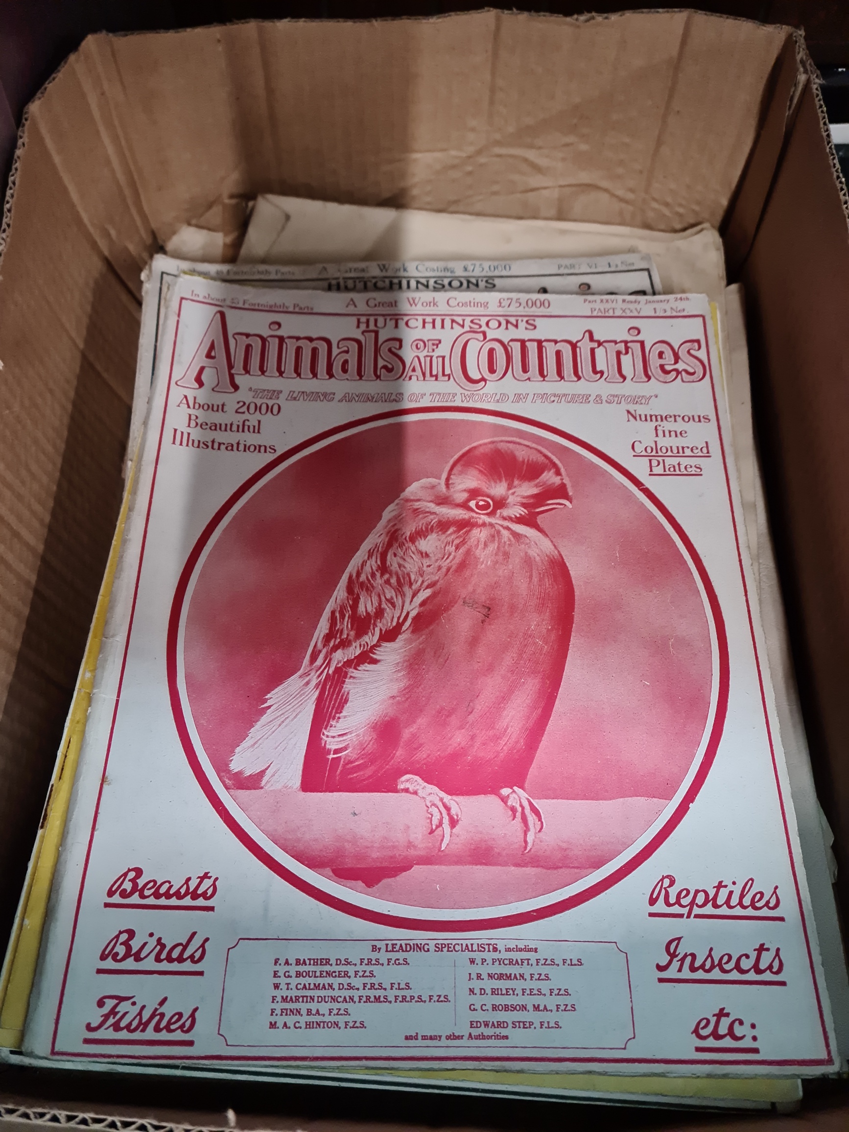 A box of vintage magazines and sheet music