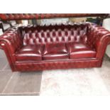 An oxblood red leather Chesterfield 3 seater sofa.