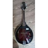 A Stag electric mandolin with case and lead.