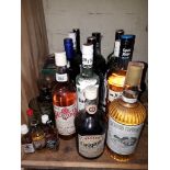 A selection of over 19 bottles of alcoholic beverages to include Red Rose whisky, Southern