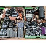 Two boxes of cameras and camera equipment including Pentax, Practica, Olympus etc.