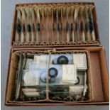 Collection of 19th century mounted microscope / polariscope slides, various biology subjects.