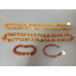 A collection of amber / butterscotch amber necklaces and bracelets, gross weight 75 grams.