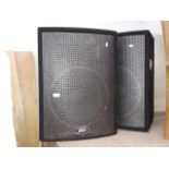 A pair of Peavey commercial speakers.