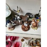 8 signed Aynsley animal figures, including penguin, squirrel, fox, badger, etc, and one other figure