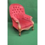 Victorian button back armchair having scrolled arms and standing on cabriole legs ending in