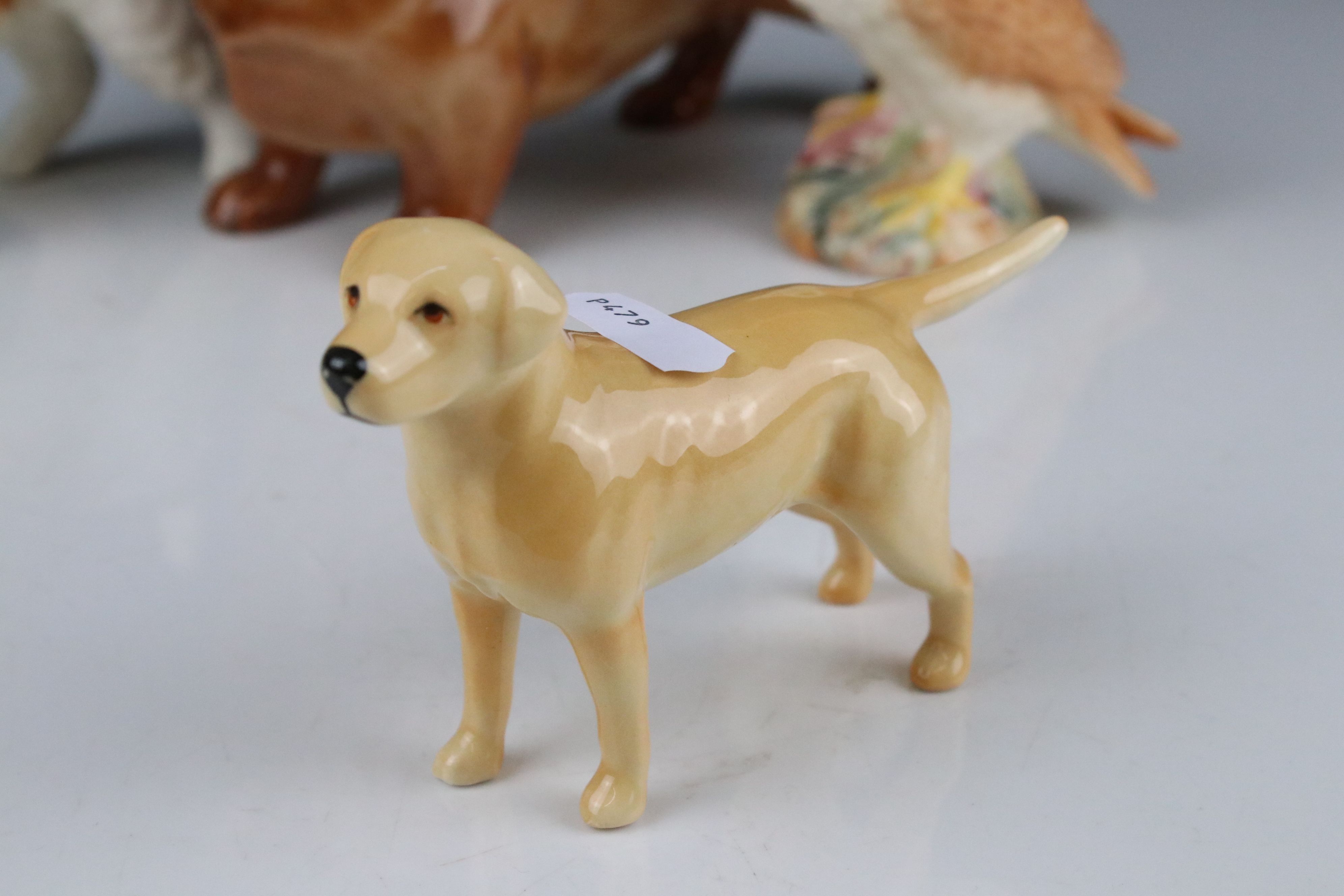 Collection of Nine Beswick Animals including Dachshund 361, Wired Haired Terrier 963, Labrador 1956, - Bild 9 aus 20