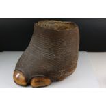 Taxidermy - Elephant Foot Jardiniere, 30cms high