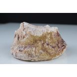 Natural History - Fossilised Vertabrae Spinal Bone, approx. 12cms diameter