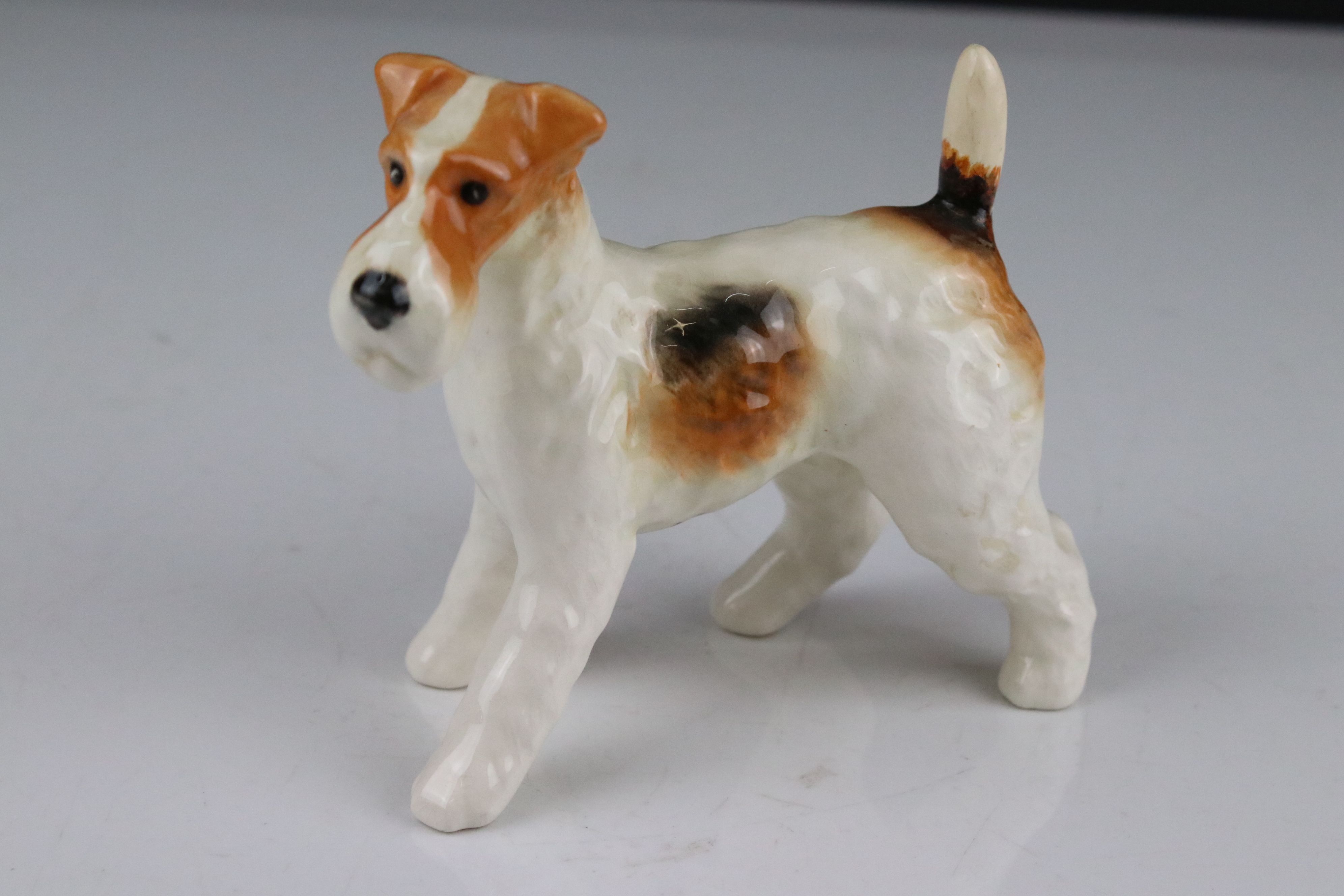 Collection of Nine Beswick Animals including Dachshund 361, Wired Haired Terrier 963, Labrador 1956, - Bild 18 aus 20