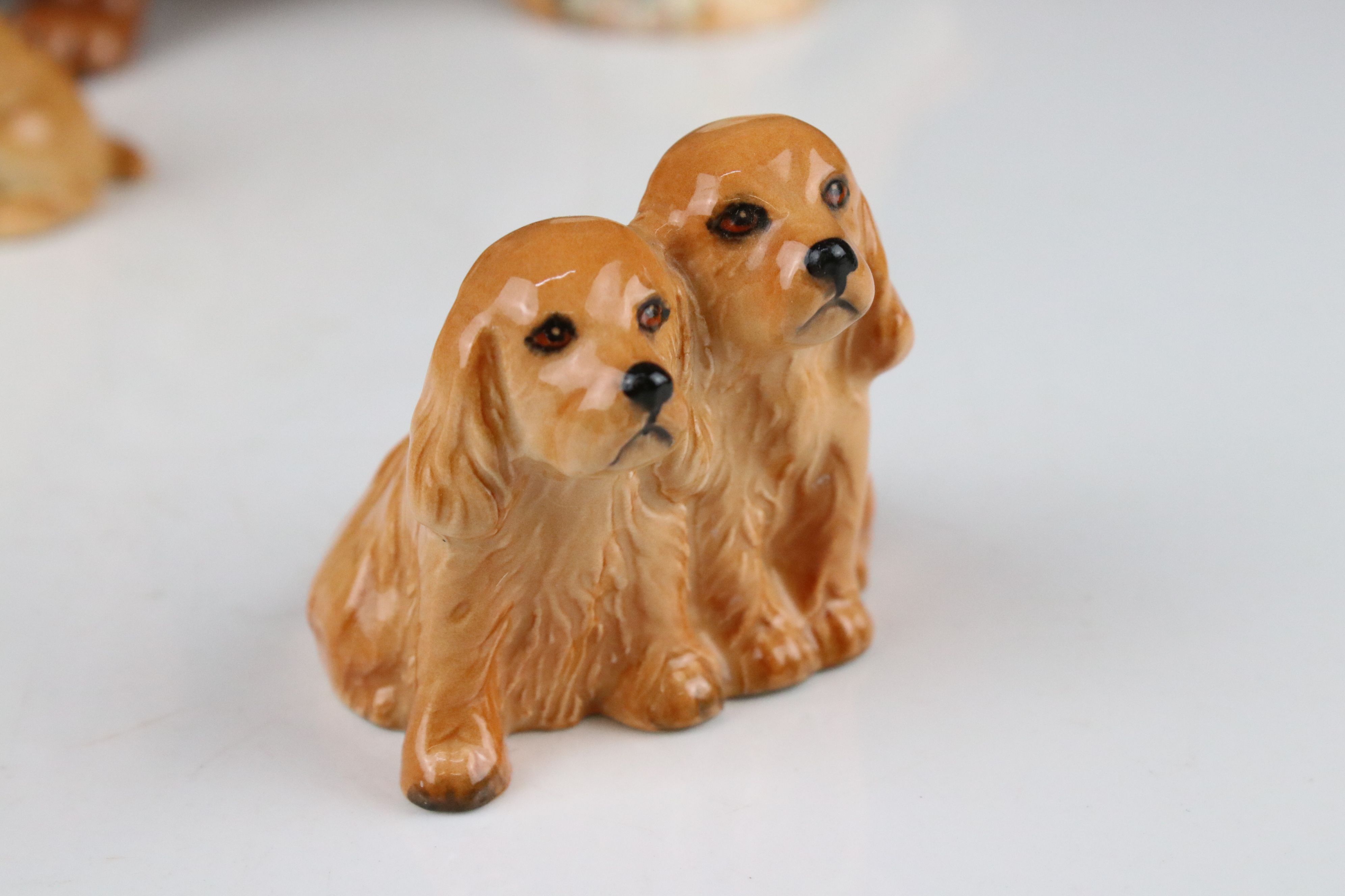 Collection of Nine Beswick Animals including Dachshund 361, Wired Haired Terrier 963, Labrador 1956, - Bild 4 aus 20