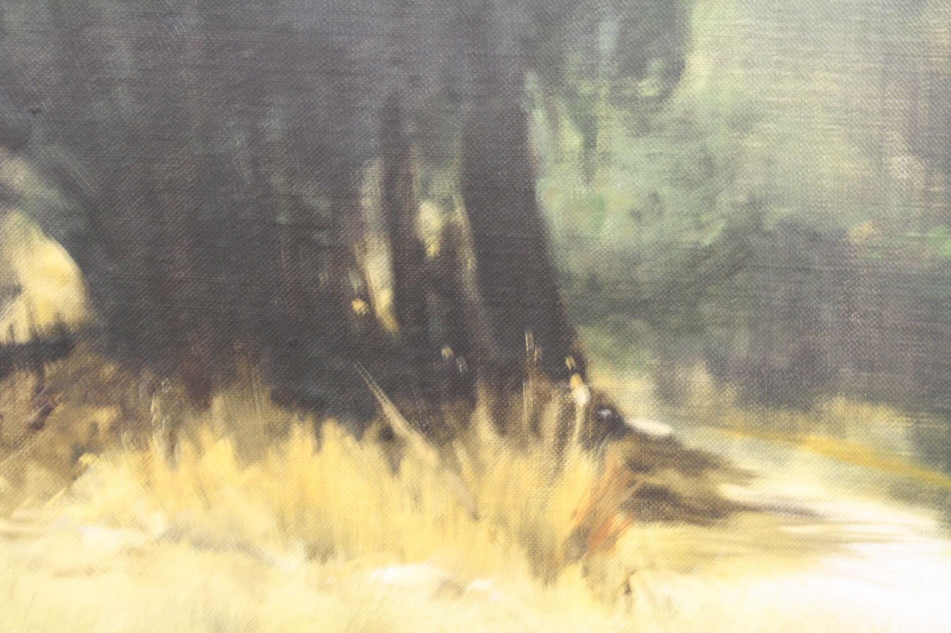 Oil Painting on Canvas of a Path through Woods, signed Litchenfield, 70cms x 55cms, framed - Image 3 of 4