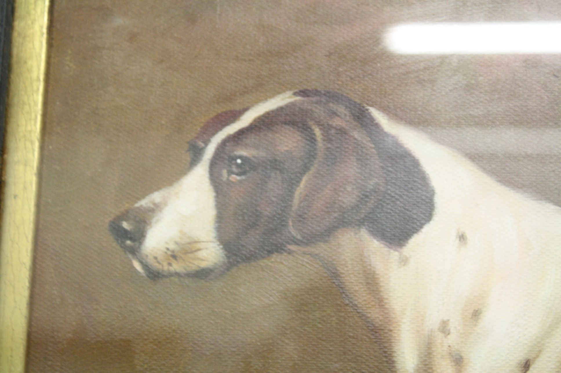 Framed oil painting study of an English pointer dog - Image 2 of 3