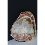 A hand carved cameo shell lamp shade with threaded brass fitting.