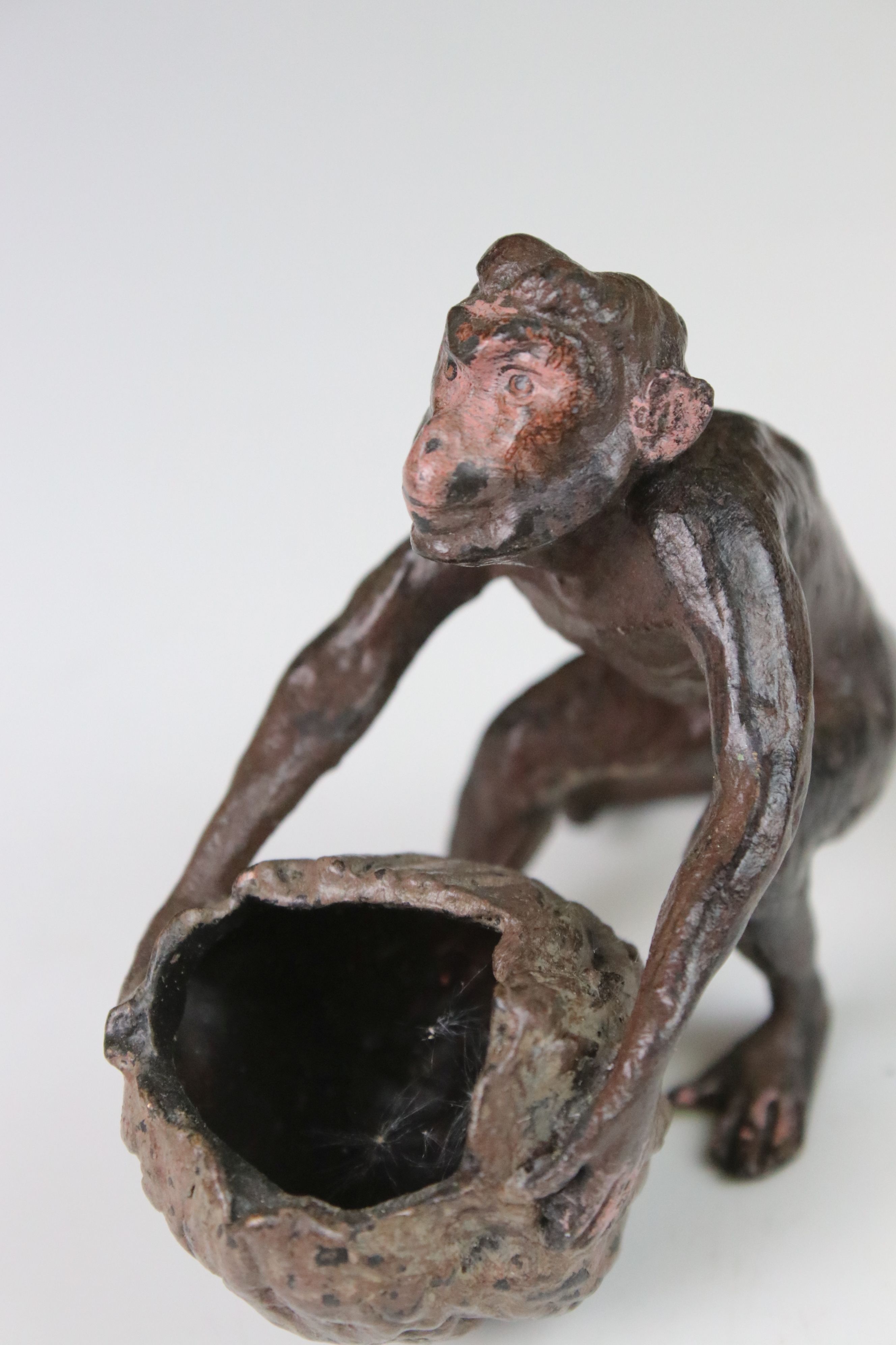 Cold painted bronze figure of a monkey and a large nut - Image 2 of 4