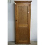 Vintage tall pine storage cupboard